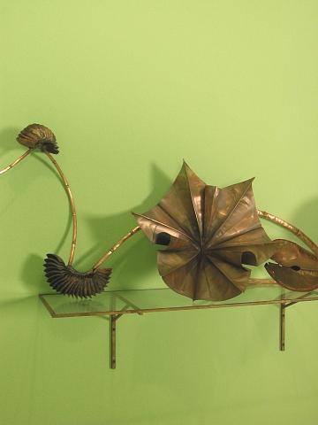 NATURALIA SHELF -LEFT SIDE DETAIL