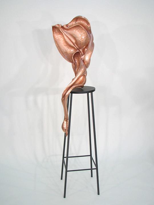 Epidermal Plane IX side Kai Wolter, Metalsmith, Kaiwerx Studio, sculpture