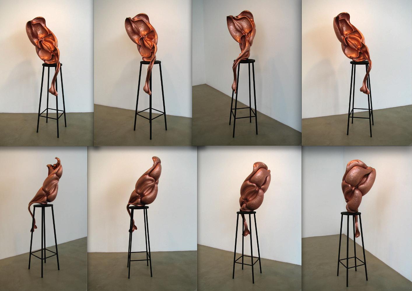 Kai Wolter, Metalsmith, Kaiwerx Studio, sculpture, biomorphic, organic