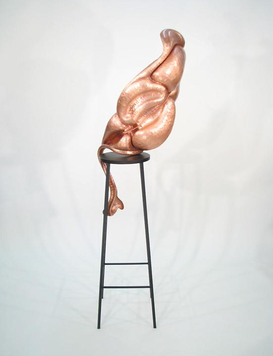Epidermal Plane IX reverse Kai Wolter, Metalsmith, Kaiwerx Studio, sculpture