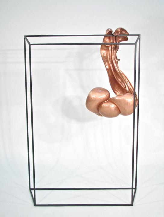 Kai Wolter, Metalsmith, Kaiwerx Studio, sculpture, biomorphic, organic