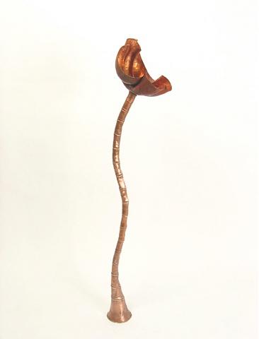 HEAD